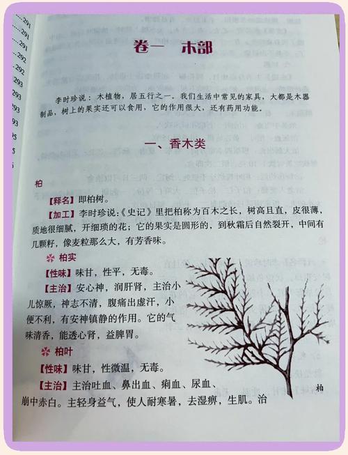 《围城》在线阅读 | 钱锺书经典小说全文免费阅读