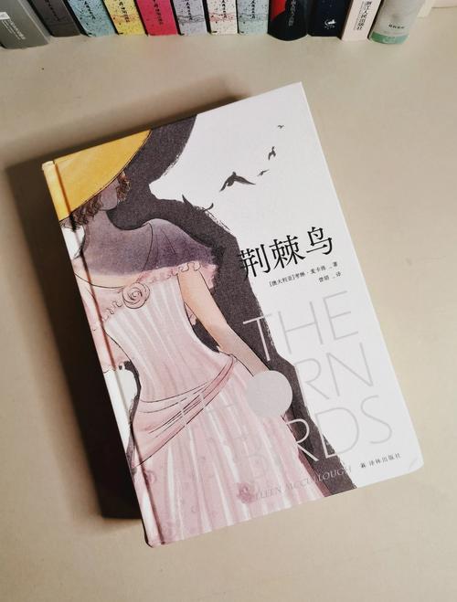 丝袜h黄文小说长篇合集最新章节更新_全文在线阅读
