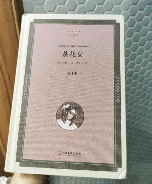 坏蛋3六道全文免费在线阅读 | 六道最新章节