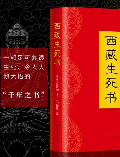 夫妇乐园全文免费在线阅读 - 精彩章节持续更新