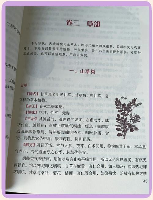 灿烂千阳在线阅读 | 千阳灿烂，照亮信念与救赎之路
