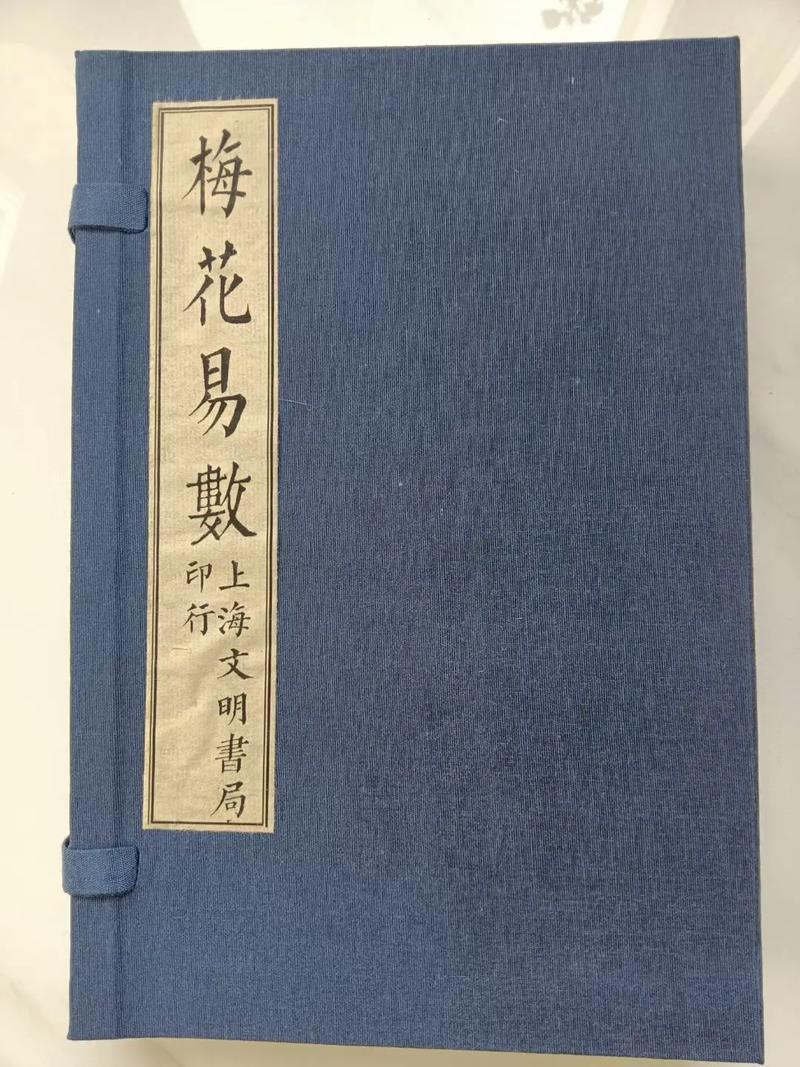 莫负寒夏全文免费阅读｜木寒夏陆景行经典都市言情小说