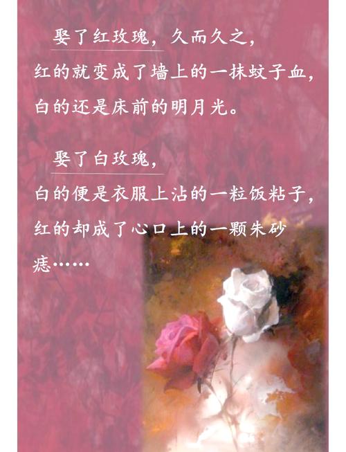 文化苦旅全文免费在线阅读｜余秋雨经典散文集