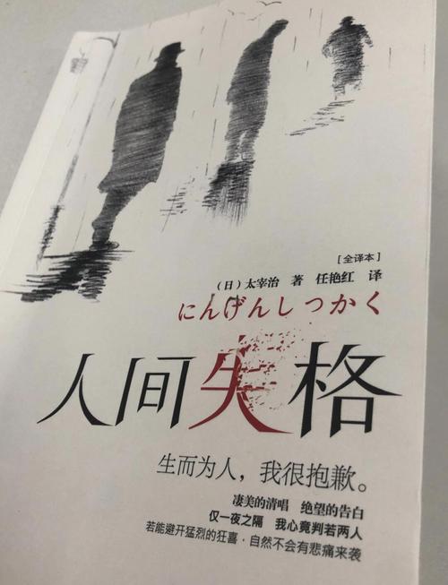 《窗外的窗》高清全文免费在线阅读 | 精品小说推荐