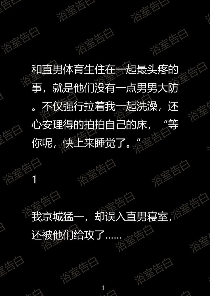 阿宾全文目录阅读在线 - 高清完整版小说目录