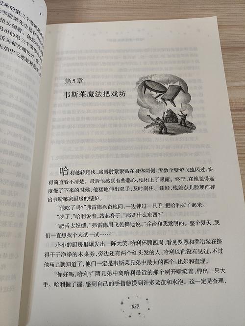 慈悲城在线全文阅读_无弹窗免费小说