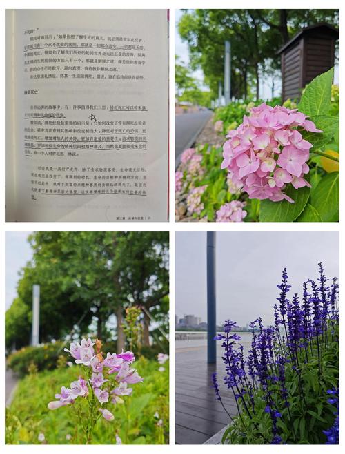 故事会在线阅读2017：精选年度好故事，回味经典瞬间