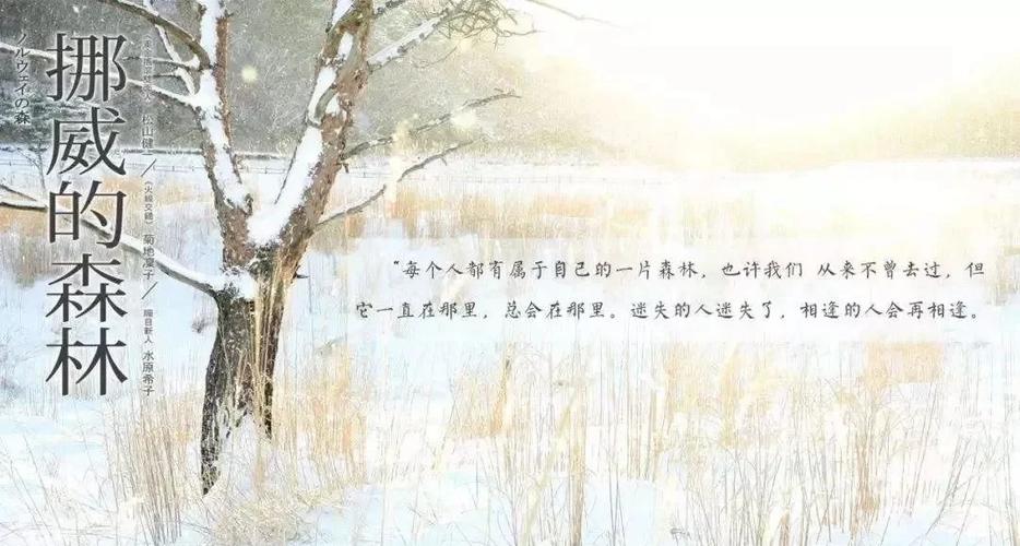 微型小说在线阅读:精选短篇佳作,一秒沉浸故事世界