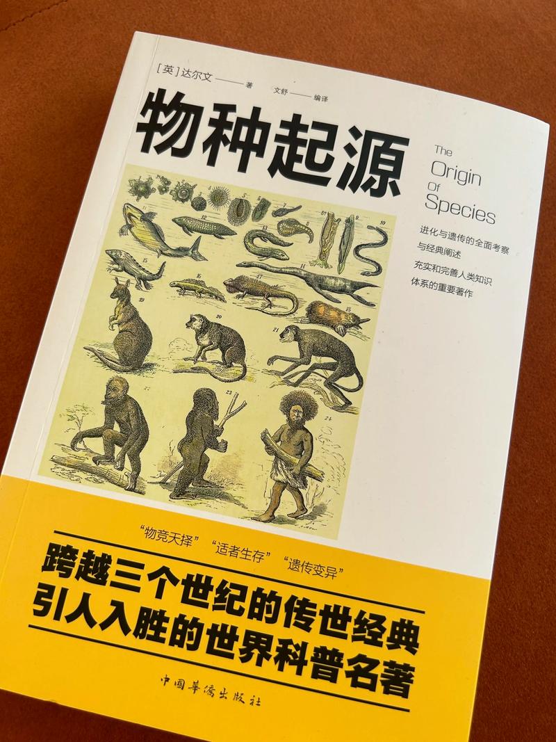 魁拔小说在线阅读 | 热血奇幻巨著完整版