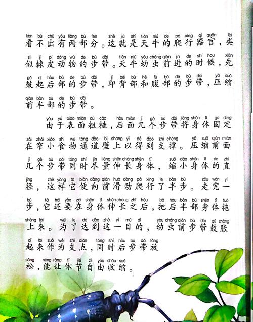 《昆虫记》在线阅读全文｜法布尔经典科普名著