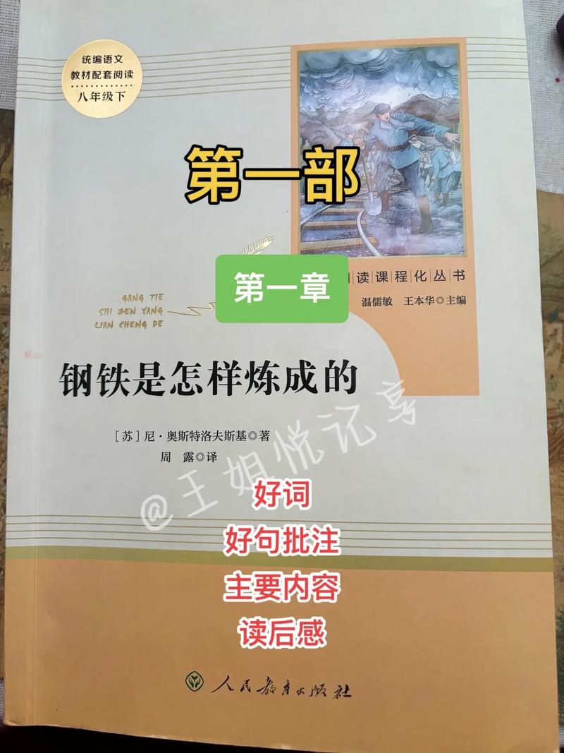 少阿兵宾小说全文在线阅读，精彩章节免费看