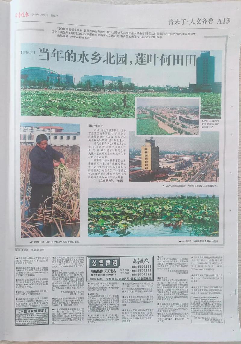 齐鲁晚报在线阅读：聚焦山东本地新闻与民生热点
