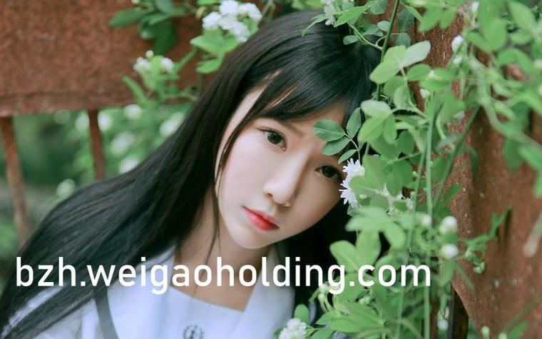 昭奚旧草全文免费在线阅读 | 经典古言小说