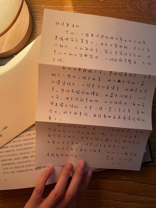 掠婚小说免费阅读在线 - 热门全集无广告