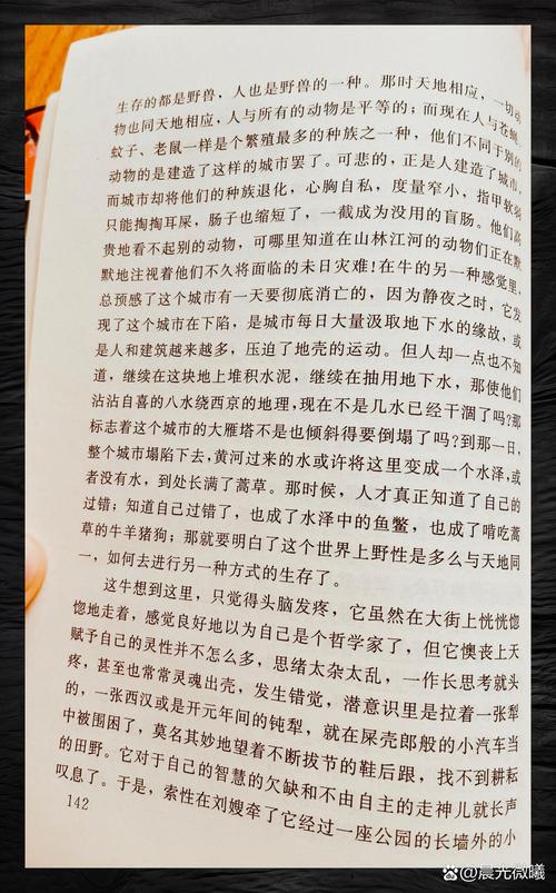 只宠你一人在线阅读｜独家甜宠文高糖无虐免费追