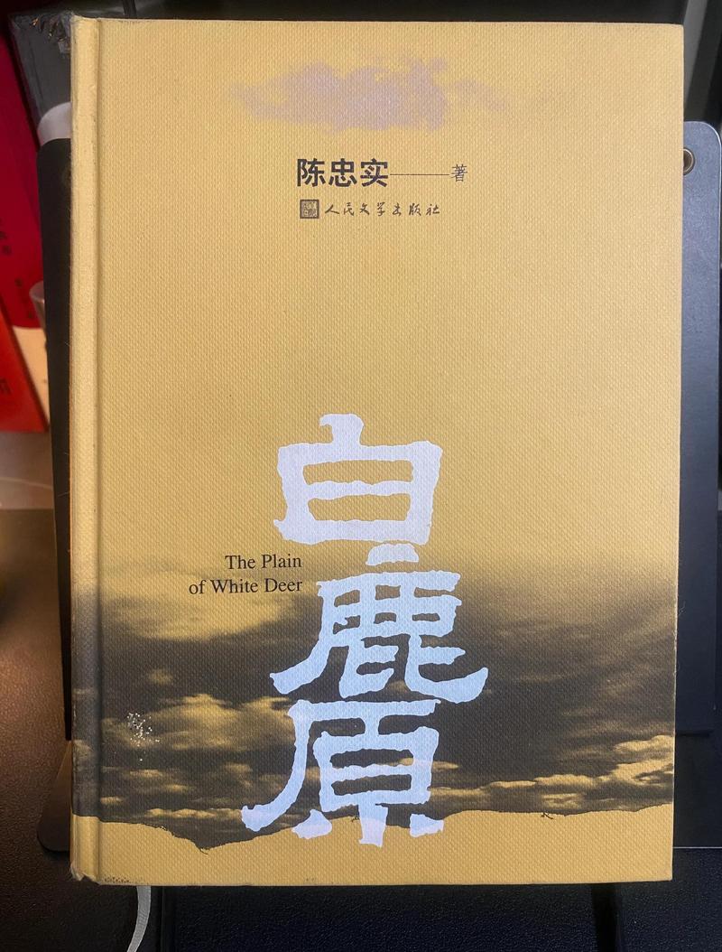 都市仙尊洛尘最新章节_免费在线阅读