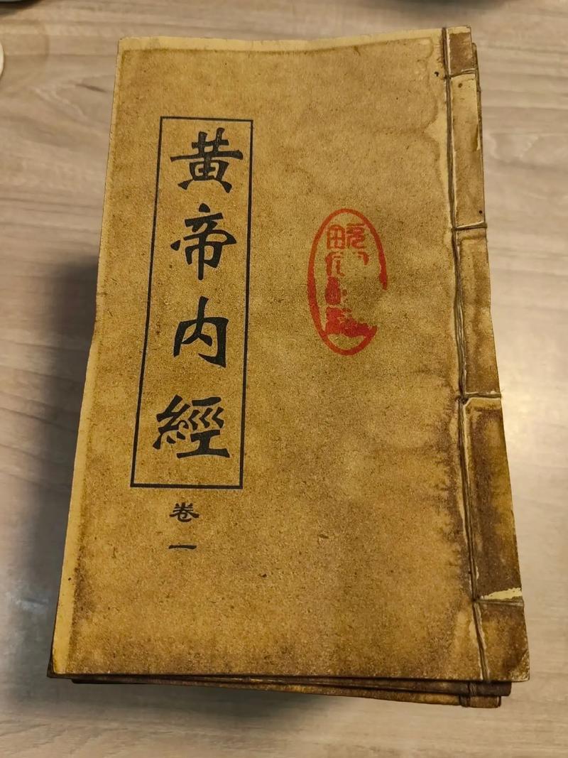 家庭幻想TXT全文在线阅读录 | 经典家庭幻想小说免费阅读